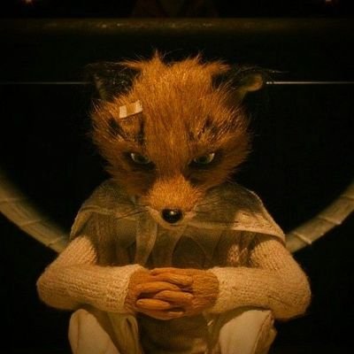 _scorpyboo's profile picture. 𝒕𝒉𝒆 𝒃𝒂𝒏𝒆 𝒐𝒇 𝒚𝒐𝒖𝒓 𝒆𝒙𝒊𝒔𝒕𝒆𝒏𝒄𝒆 🥀 || 🏳️‍🌈 || 𝚖𝚘𝚟𝚒𝚎 𝚋𝚞𝚏𝚏 🎞️ || jellybean 🪼