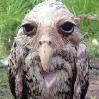 morgana660's profile picture. 