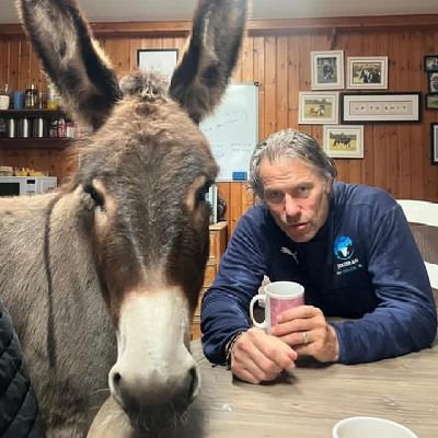 CountryGir44295's profile picture. 