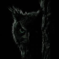 VirtualOwl17's profile picture. 