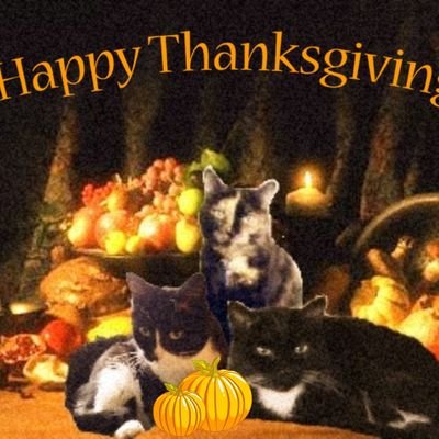 CinniMini2's profile picture. Cinni 4/17/2005-12/12/2018. Oreo 7/1/2003-11/22/2019. Hydrox 3/8/2005-10/24/2023. All 3 are #Nipclub DJs and @tbryant57 is their granny.