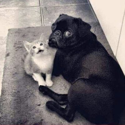 bignathing's profile picture. AHHHHHHHHHHHHHHHi