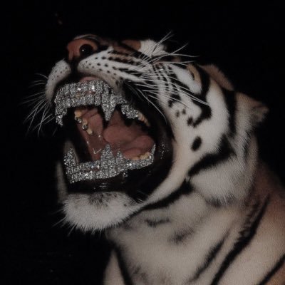 phantom_bots's profile picture. @TrenchWarriorrs I @ScourgeFNF