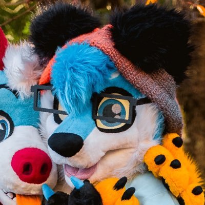 NurkoBear's profile picture. Malibu(Dutchie) / Nurko(Polar/Red panda) / Ace (Dog) Multifursuiter, 24, 18+, Nursing Student going for my RN, SC fur, originally from PA.