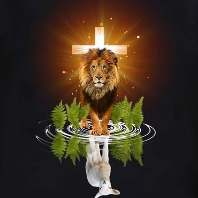 Audrea343468's profile picture. 