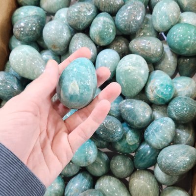 birdwatchbud's profile picture. nonprofit industrial complex understander and pending texas-leaver. harm reduction&DIY⚧️🪡 he/sie