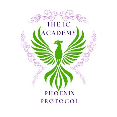 TheICAcademy's profile picture. 