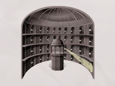 PericulosaL's profile picture. The purpose of a system is what it does