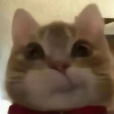 Tambi_mm's profile picture. 