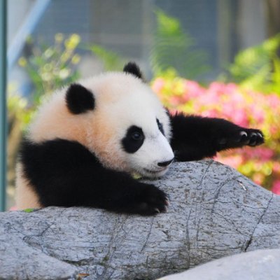 masao_topaz's profile picture. ダーツ🎯とツーリング🏍が趣味