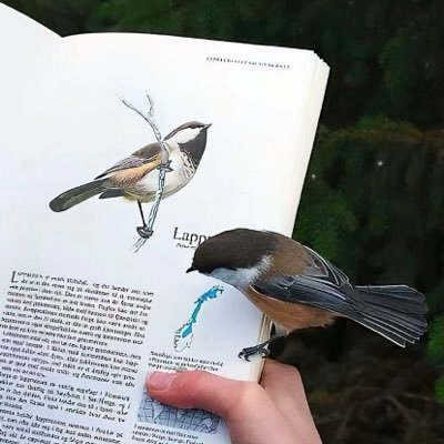 xiojngdi142581's profile picture. 