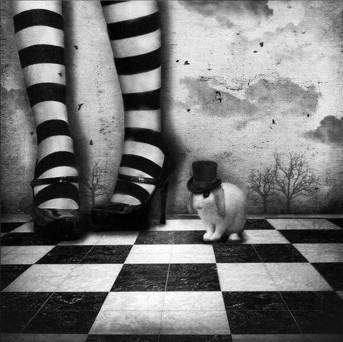 Jordy87dy's profile picture. 