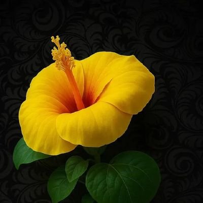 AbdanasrH61486's profile picture. 