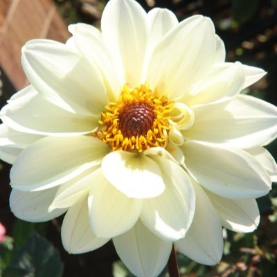 Lustfulhailey's profile picture. I love to enjoy life