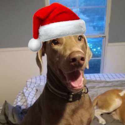 eoptifywyd's profile picture. 