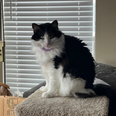 PamelaRoge86373's profile picture. Grants coordinator