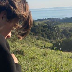 WilliamPoNew024's profile picture. 