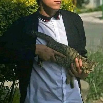 jose_alber7147's profile picture. 