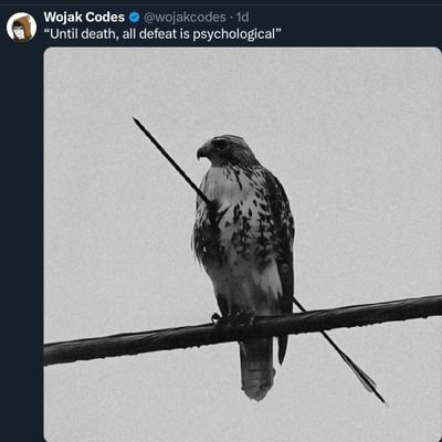 ethos_24_'s profile picture. Machinist🤖