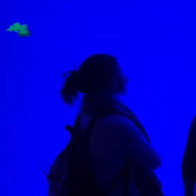 dreamidisco's profile picture. the siren