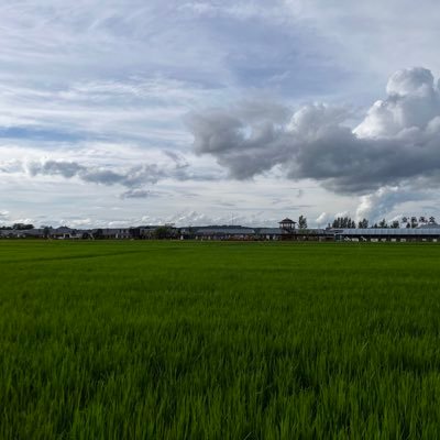 kvanishes's profile picture. 