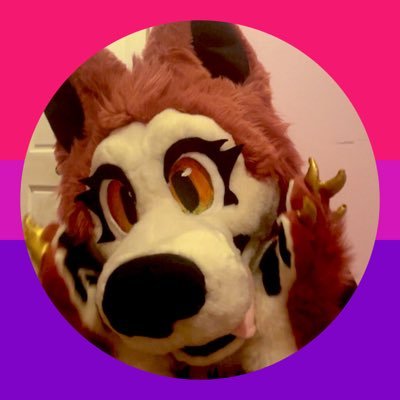 VelvetSnowDog's profile picture. she/Her•Fursuiter•Artist•MDNI🔞 Just a Snow dog with a big heart! ♥️