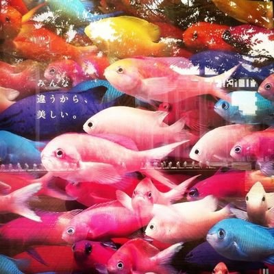 rayy_11232's profile picture. 