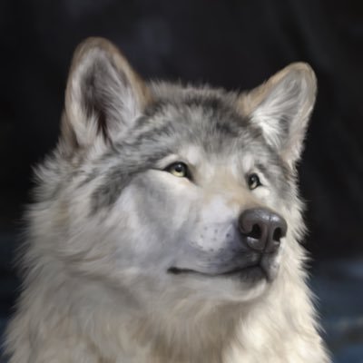 ItsCryptillian's profile picture. Maddie │ 23 (she/he/they) 🌱 Bi(Pan) disabled woman in vetmed making art @Freddie301_ ❤️