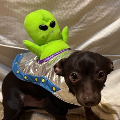 SoldierZR's profile picture. Infantry Vet | 🧌| Menace to Society | | Former Manager and cofounder of @NativeGaming then got the swindle