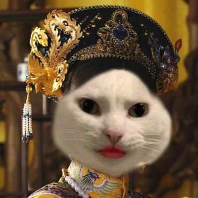 shshshiii_'s profile picture. 