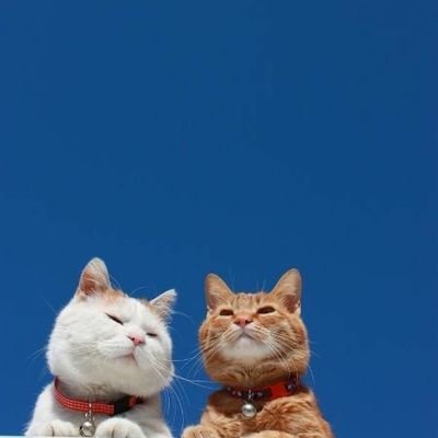 taqiyaasmaa's profile picture. Mae, with 2 Bae ∞