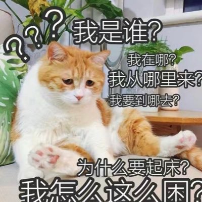 maidangdang1601's profile picture. 