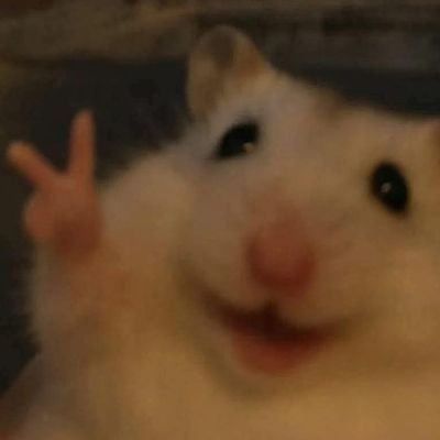 egromenawer's profile picture. 