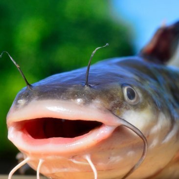 imblck2q's profile picture. oi

discord is skyblock2_queue