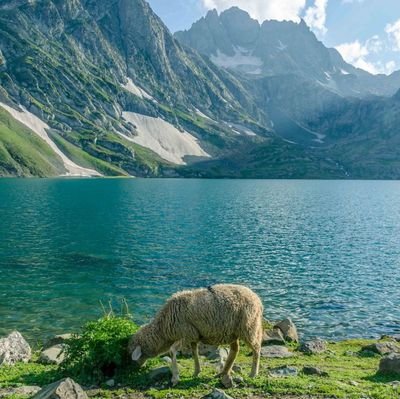 DrBilalnab10744's profile picture. Environmentalist, Limnologist,
Special focus on fish toxicology and the broader ecological consequences of contaminated exposure in freshwater ecosystems