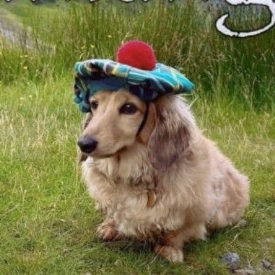 Jaxenen's profile picture. art