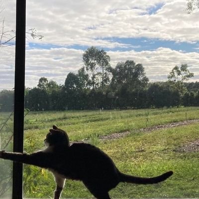 iyo_99's profile picture. rhythm