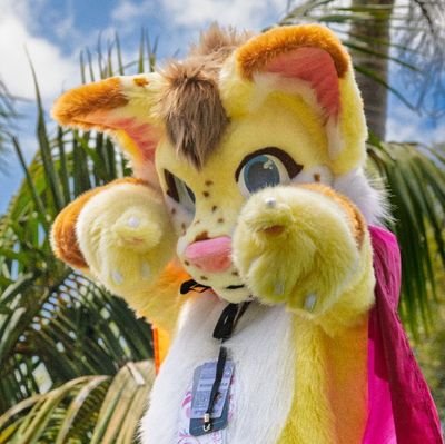 biscutfox's profile picture. 🇳🇿 30s /furry/ Lesbian . Sometimes I draw. Not the brightest bulb.  
My sweet corn  @cosmicorn❤️ Banner @pejntboks
https://t.co/Ts3aMcscEi