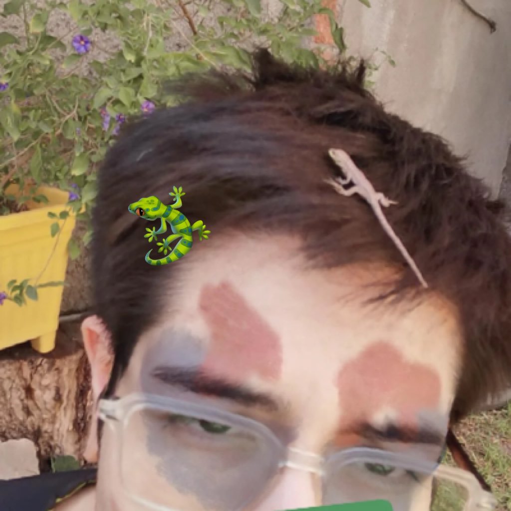 patodegomita's profile picture. no se, me gustan los ositos de goma