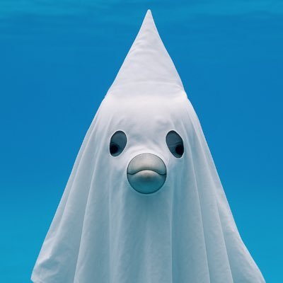 NepalSol's profile picture. ride the momentum take profit and rotate that’s the only game I know now