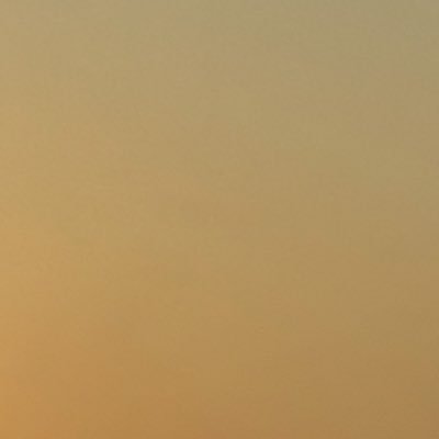 nobrainmed's profile picture. 