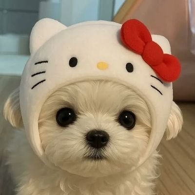 jjuneeyyaa's profile picture. ᴀʟᴡᴀʏs ʀᴇᴍᴇᴍʙᴇʀ ʏᴏᴜ :-) #prekapparn #updatewithparn ไม่ตอบเดมเกิน 24ชม.ทัก Line OA ID : @336lllte บางทีเดมมันไม่ขึ้นค่ะ