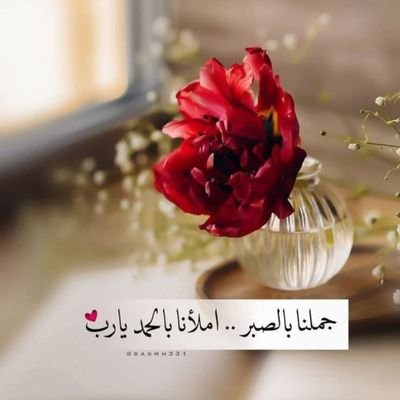 abdelfatta74463's profile picture. 