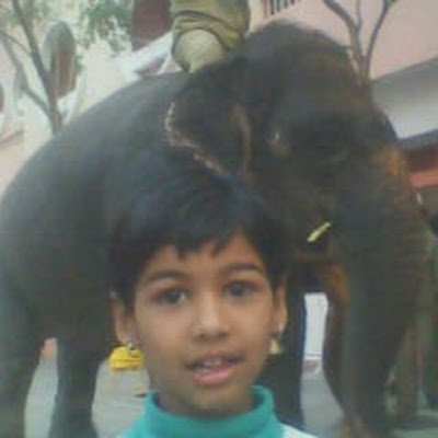 raipure97938's profile picture. 