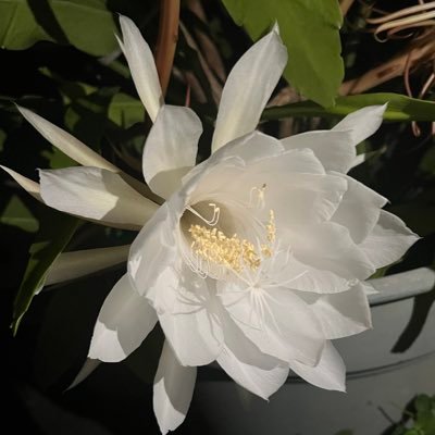 cldx6r's profile picture. 投資の迷いを言語化する人 、今は沖縄で暮らしています。noteで投資についての記事を投稿しています。