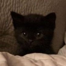 yayee94's profile picture. 