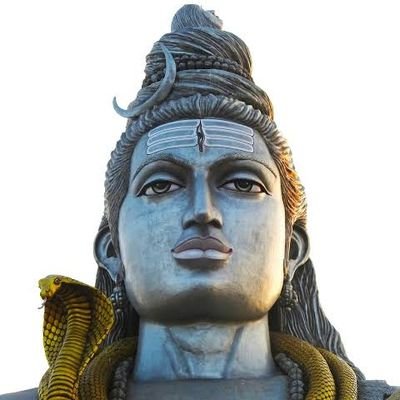 KOOTAMI_2024's profile picture. 