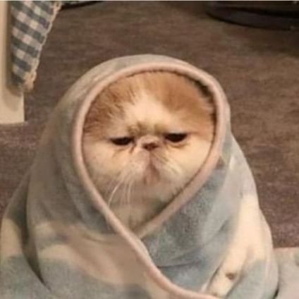 lfrcntlyy's profile picture. Akun jbjb, yang punya akun stress