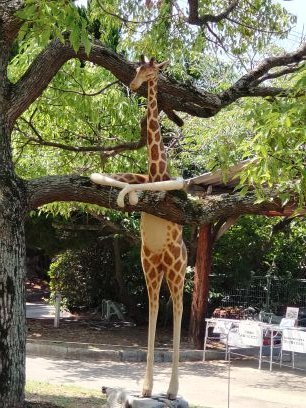 BHzljmOfui93157's profile picture. 