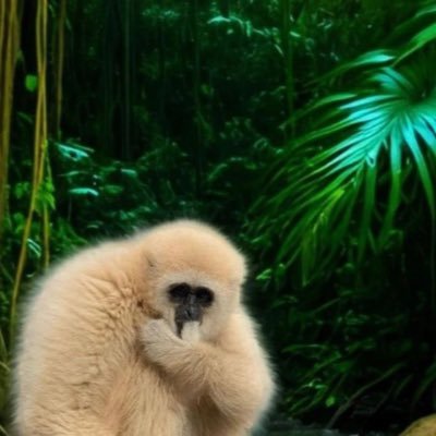 SickerGuyStyll's profile picture. 